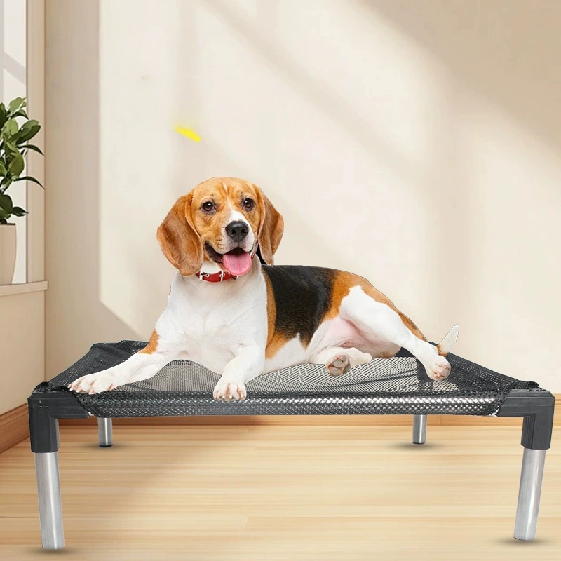 Cooling Elevated Dog Bed - Rai - Outdoor Camping Dog Bed review and price